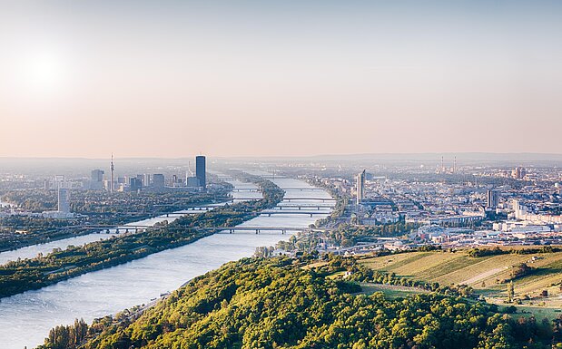 Blick über Wien